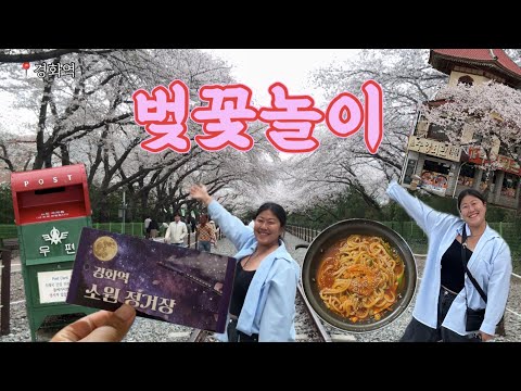 꽃놀이하러 한국 왔습니다