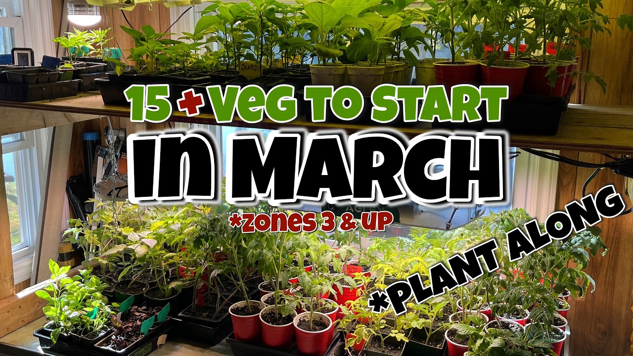 15+ Garden Vegetables to Start NOW in MARCH 🌱 *Plant Along Video* - YouTube