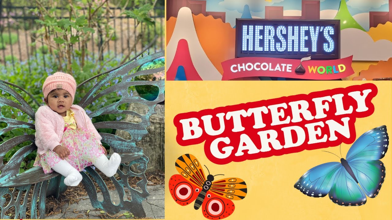 HERSHEY PARK BUTTERFLY GARDEN YouTube