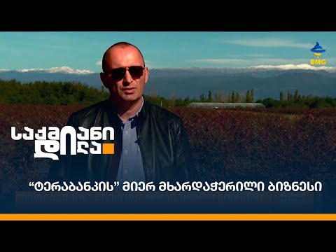 “ტერაბანკის” მიერ მხარდაჭერილი ბიზნესი