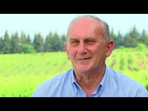 ი/მ შალვა ქურდაძე - მევანეხეობა - მეღვინეობა \"ფაფრის ველი\"