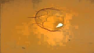 Polymer Solutions   Environmental Stress Cracking