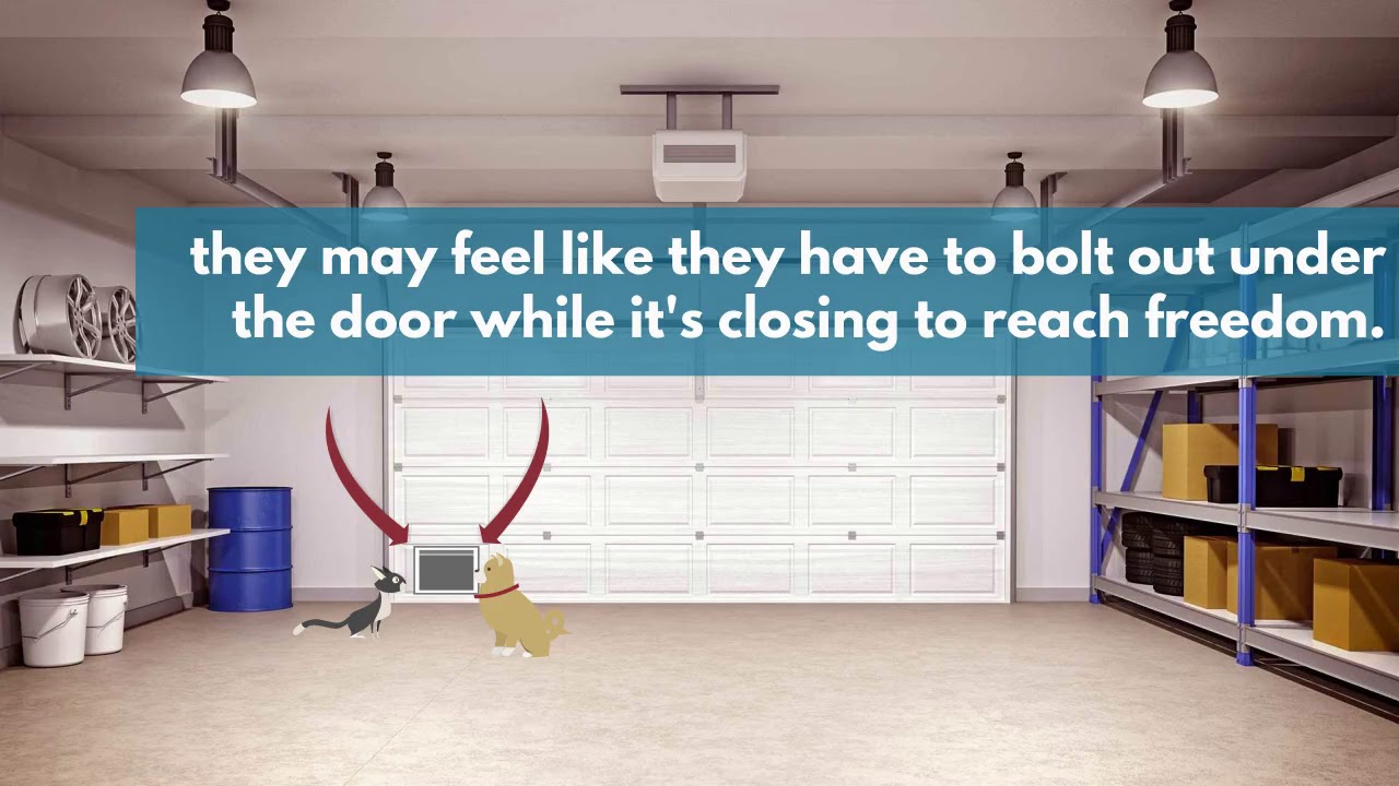 Your pets deserve their own door Video Tips Garage Door Repair