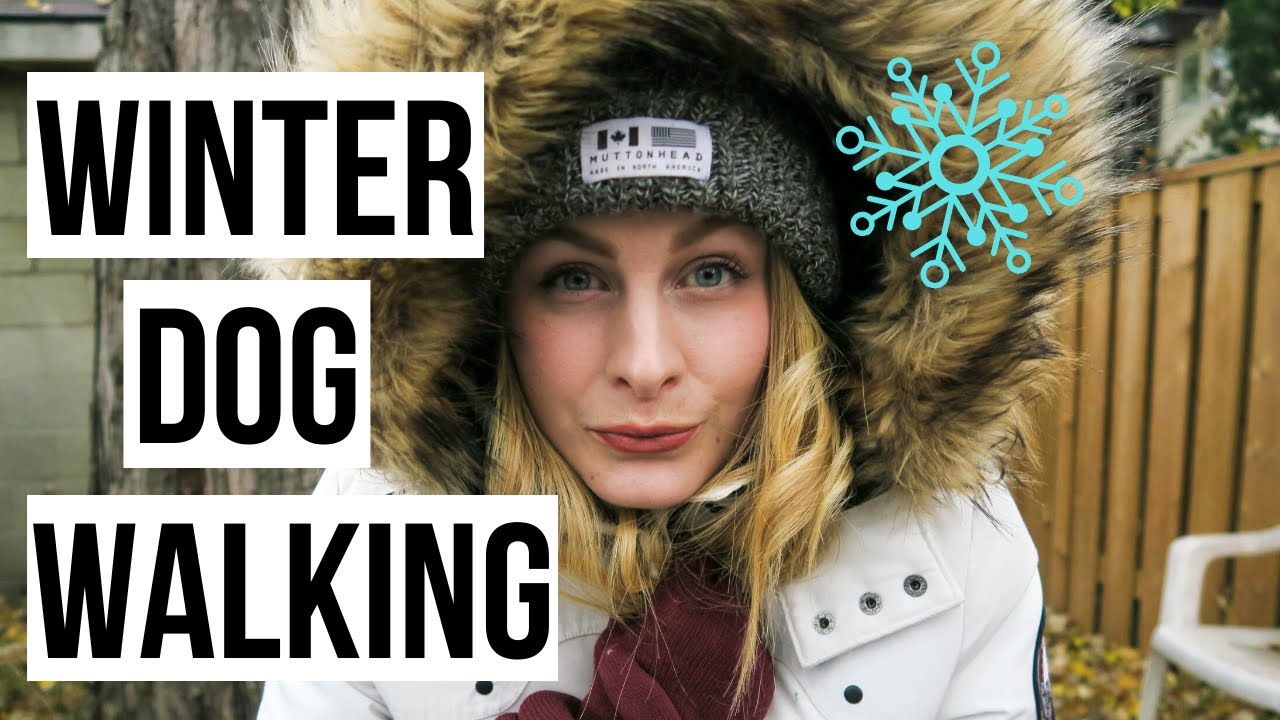 WINTER Clothing for DOG WALKERS YouTube