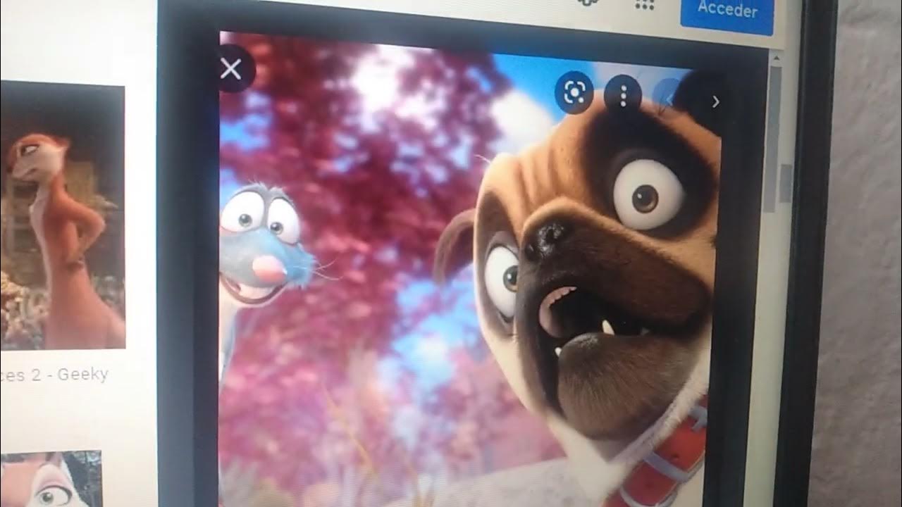 The NUT JOB 3 2022 First Look Teaser Trailer Universal Pictures Concept