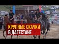 Крупные скачки в Дагестане. Семейный фестиваль - 2022 год