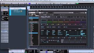 NI POLYPLEX | 06 Randomizace