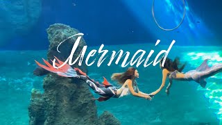 Part Of Your World (The Little Mermaid) 4K Cinematic By @MavicAir2TW Farglory Ocean Park, Hualien
