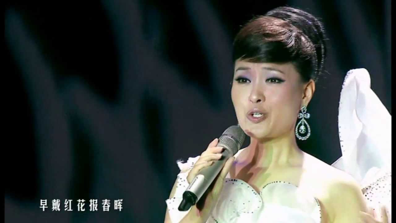 Lei Jia 雷佳 - 芦花 Reed Flowers - YouTube
