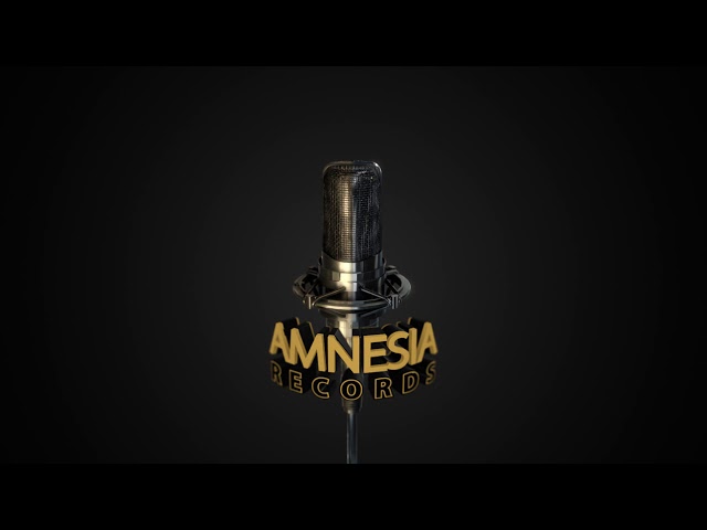 Intro Amnesia