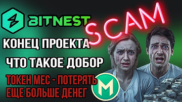 Bitnest Битнест Конец СКАМ  Токен MEC Вся правда Обман Пирамида Отзывы