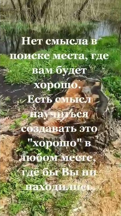 Нет смысла в поиске места, где вам будет хорошо. Есть смысл научиться ...