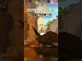 DESTROYED 💀 | #cs2 #csgo #cs2overpass #cs #counterstrike #gaming #csgomoments #csgoclips