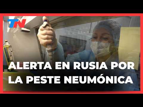 ALERTA EN RUSIA: murió una investigadora y aislaron a 200 personas por una posible peste neumónica