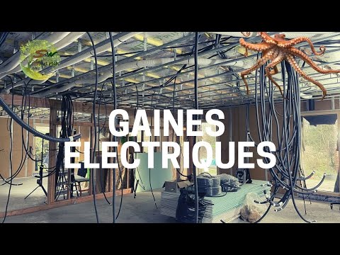 Vidéo: Les maisons à ossature sont-elles écoénergétiques ?