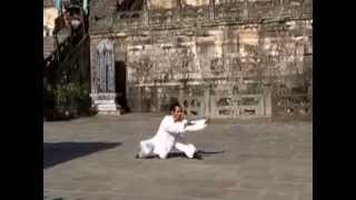 Taiyi qigong the original 太乙气功