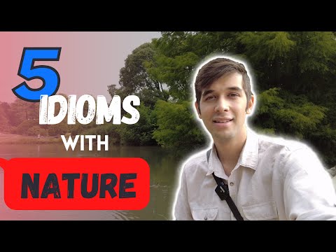 Learn English vocabulary || Nature idioms