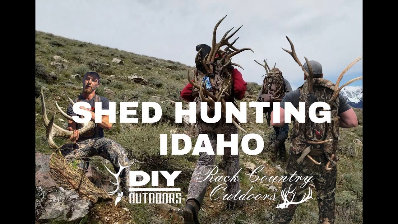 Shed Hunting Idaho YouTube