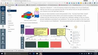 Toggle Screens while Creating in Canvas