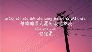 【风情万种-周星星 】FENG QING WAN ZHONG-ZHOU XING XING /TIKTOK,抖音,틱톡/Pinyin Lyrics, 拼音歌词, 병음가사/No AD, 无广告