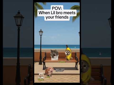 when lil bro meets your friends! #cat #shorts#viral by progamer
