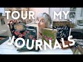Tour my Sketchbooks & Journals ~ Flip through my art books with me!
