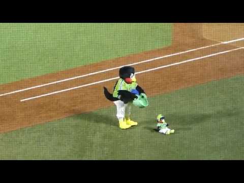 【TOKYOシリーズ2019】4/25：つば九郎／EZ DO DANCE