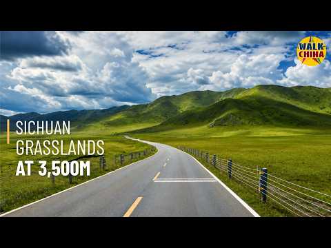 Western Sichuan’s Largest Grassland — Driving Deep into Ruoergai at 3,500m | 4K