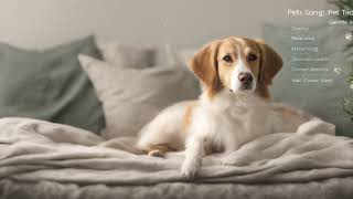 Waves of Relaxation - Serene Pet Harmony