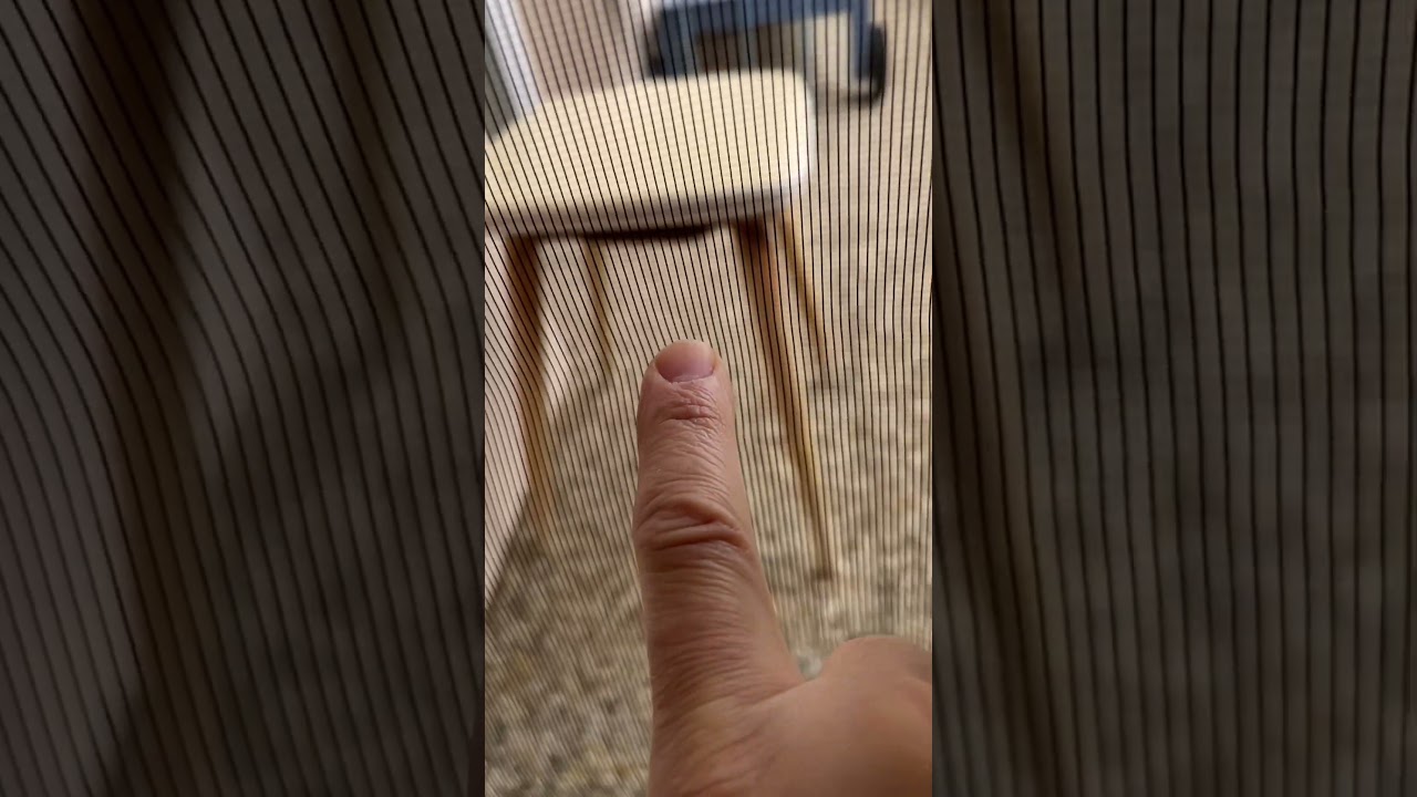 asmr Finger POV - fly screen 