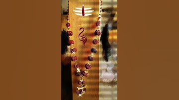 असली रुद्राक्ष की पहचान| शिव महिमा |प्रदीप मिश्रा जी #shorts #trending  #pradeepmishrajikeupay