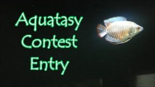 Aquatasy Contest Entry!