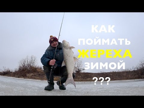 Как поймать ЖЕРЕХА зимой. Зимний ЖЕРЕХ настоящий боец !!Ares Lester Boron 800ML