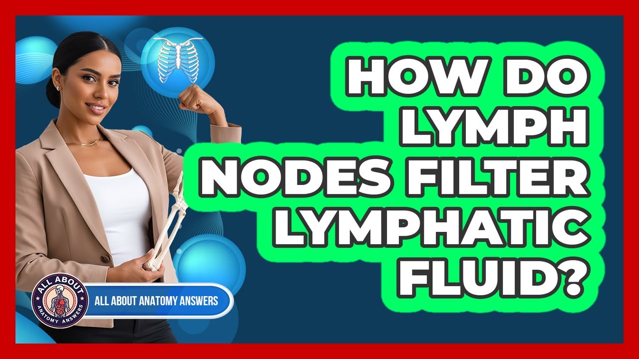 How Do Lymph Nodes Filter Lymphatic Fluid?
