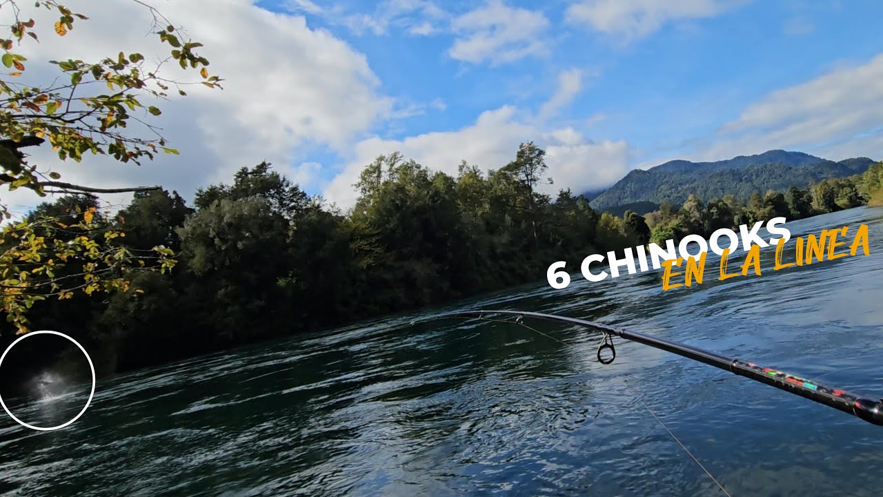 JORNADA DE SALMONES CHINOOK - CHILE