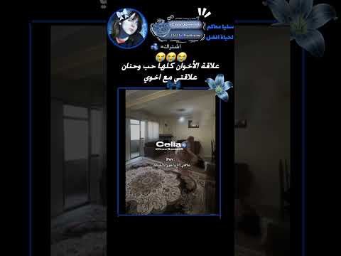 دايما يساوي لي حركات كاراتي او يعطيني بكس شلتنا اكلتك    