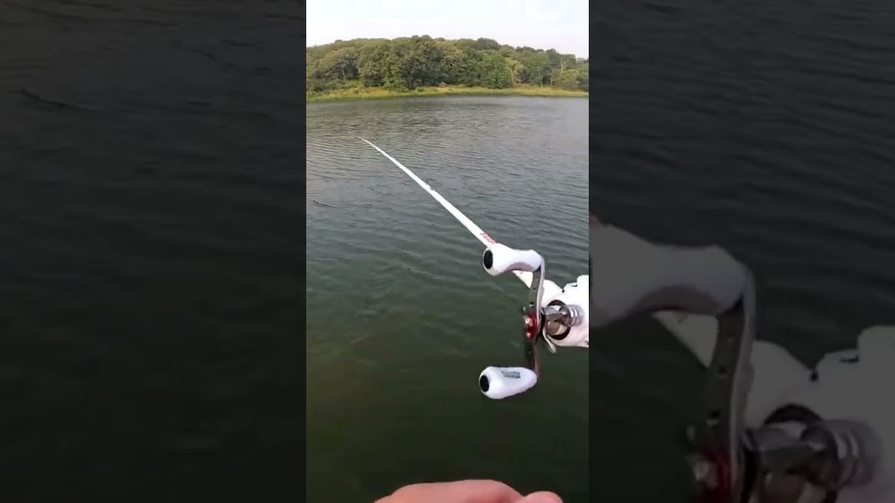 I Love The Abu Garcia Veritas Baitcaster! 