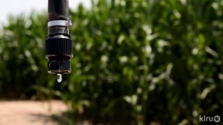 Panhandle Farmers See Irrigation Struggles