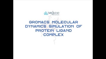 How to perform GROMACS-based Molecular Dynamic Simulations using SiBioLEAD platform