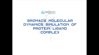 How to perform GROMACS-based Molecular Dynamic Simulations using SiBioLEAD platform