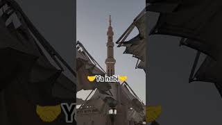 Download Lagu ya Nabi salam alaika ❤️❤️❤️.. #yanqbi #yarosul #rasoolallah #islamic #islamicstatus #ytyoutube #tren MP3