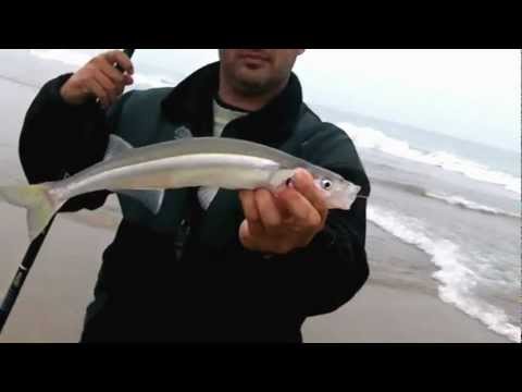 Vídeo: Pesca De Juny