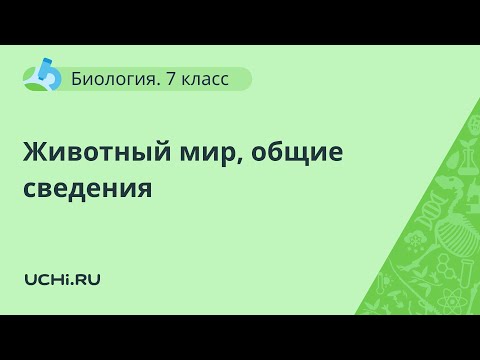 Биология 7 класс: животный мир, общие сведения