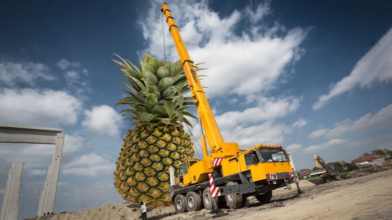The Biggest Fruits Ever Recorded