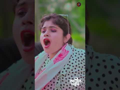 Otit Pakhi | Js Sojib | Alomgir Evan | Nupur Sorkar | New Bangla Song 2026