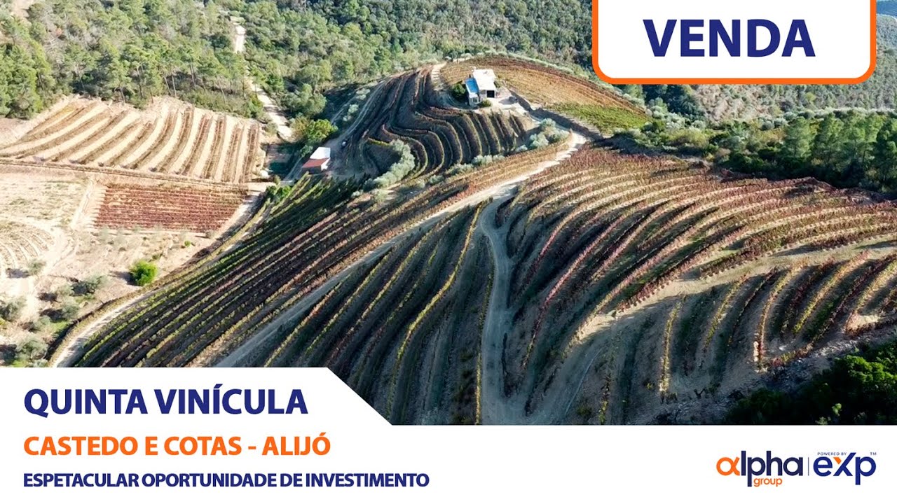 [VENDE] QUINTA VINÍCULA | CASTEDO E COTAS | ALIJÓ | VILA REAL | PORTUGAL