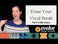 Erase Your Vocal Break Part 4 Of 4 Mix Voice 