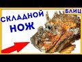 Найдена рыба со СКЛАДНЫМ НОЖОМ в щеке | Котоновости БЛИЦ 16