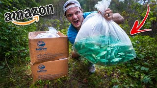 Ordering 1,000 JUMBO Shiners From AMAZON To Stock ABANDONED Pond!! (feeding starving bass)