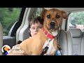 Rescue Pittie Helps Her Brother Start Talking | The Dodo Pittie Nation